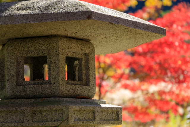 灯ろうと紅葉